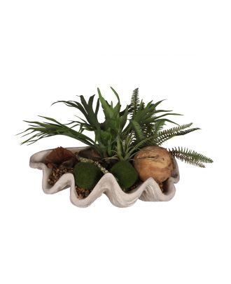 Staghorn Fern In Resin Shell