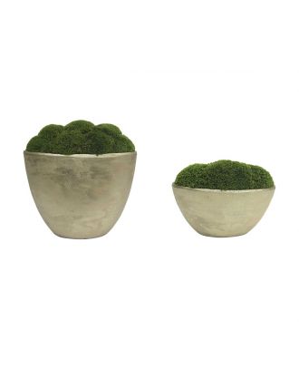 Lystra Moss Planter Large